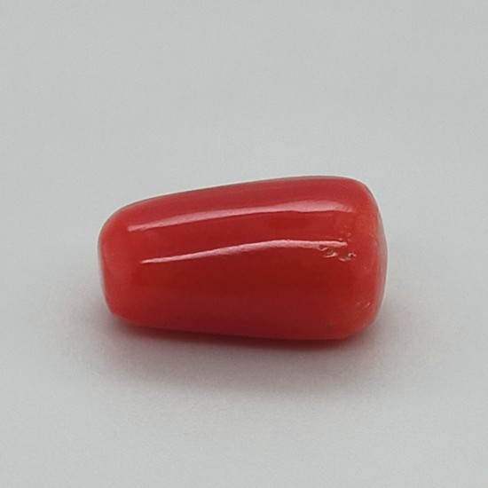 Coral (Moonga) 5.85 Ct Good Quality